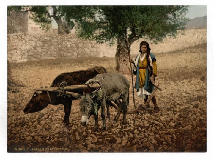 TelegraphTravel's tweet photo. Mesmerising colour photographs of people in the 19th century https://t.co/ZCKrJlb3pW https://t.co/kd9YhlnLVT
