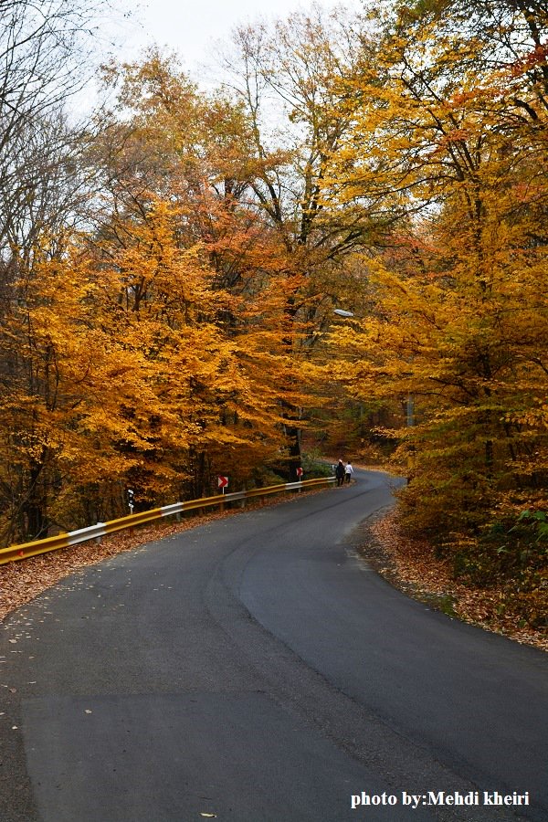 gorgantourism1's tweet photo. @MustSeeIran gorgan alangdare park https://t.co/edIJ7o7FG8