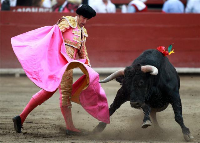 Que te parece que Barcelona vuelva a celebrar corridas de toros?? ow.ly/H2il305nbAJ