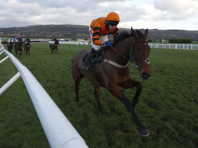 easyodds's tweet photo. THISTLECRACK declared to run at Chepstow tomorrow. 

🙏🏻🙏🏻🙏🏻🙏🏻 https://t.co/coTLoPcU7h