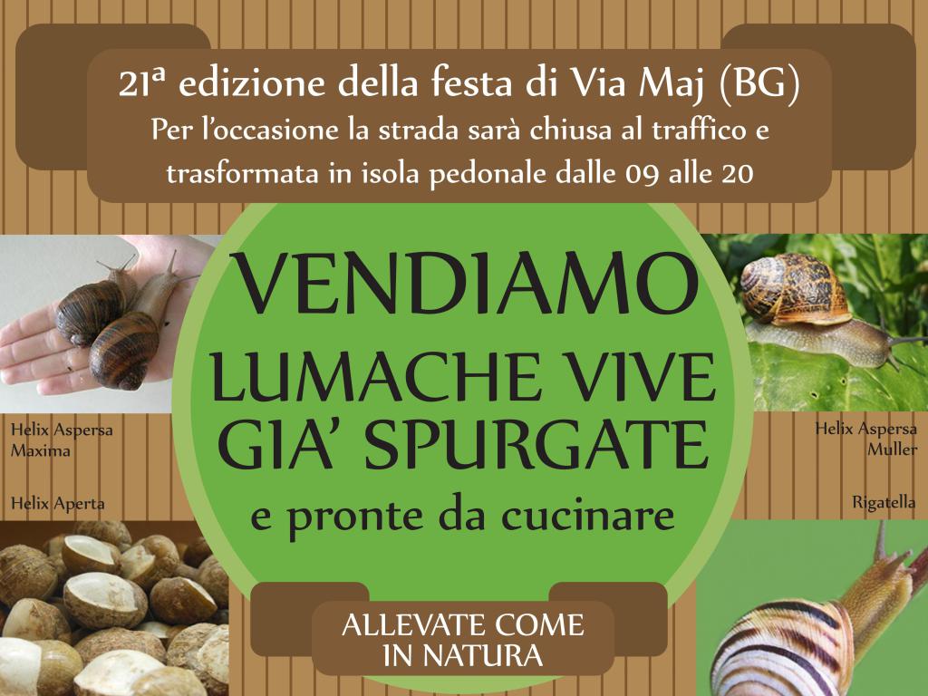 lumachedella's tweet photo. La ricetta per le #lumache giusta per ogni gusto https://t.co/k67MgneZxT https://t.co/EtGimdEHgl