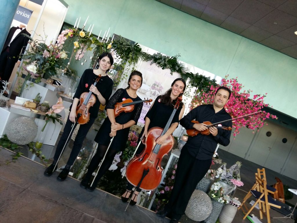 DoSolMusica tweet picture