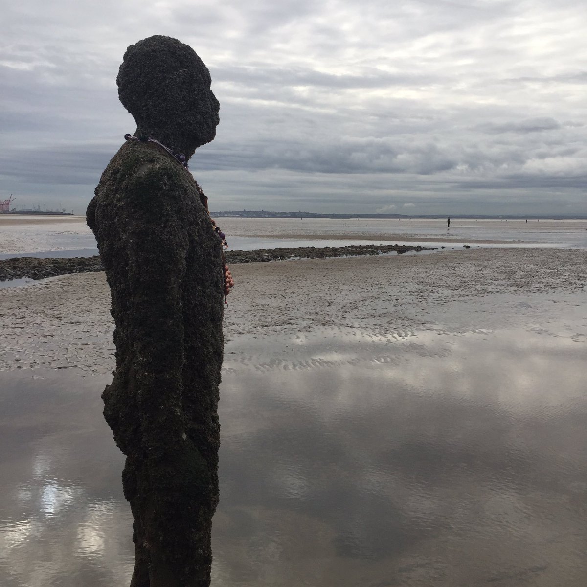 jennymaclondon's tweet photo. Visiting #AnotherPlace in amazing coastal light. #AntonyGormley #Crosby #Mac80 https://t.co/kBt8CeudSs