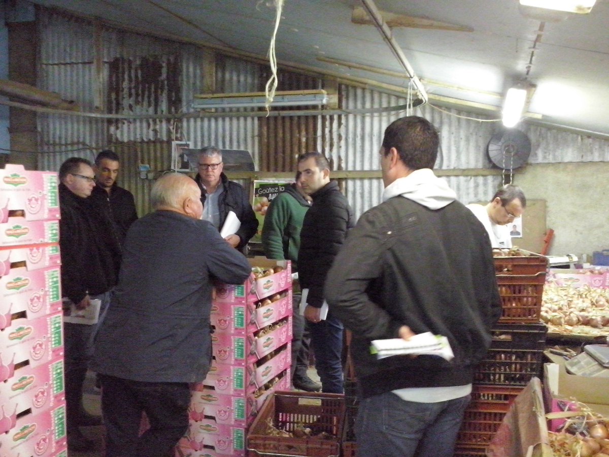 OignonRoscoff's tweet photo. Chefs de rayons de l'enseigne METRO® à la découverte de l'#Oignon de #Roscoff #AOP avec l' #ISFFEL la semaine passée chez un producteur. https://t.co/CMJGKmzttF