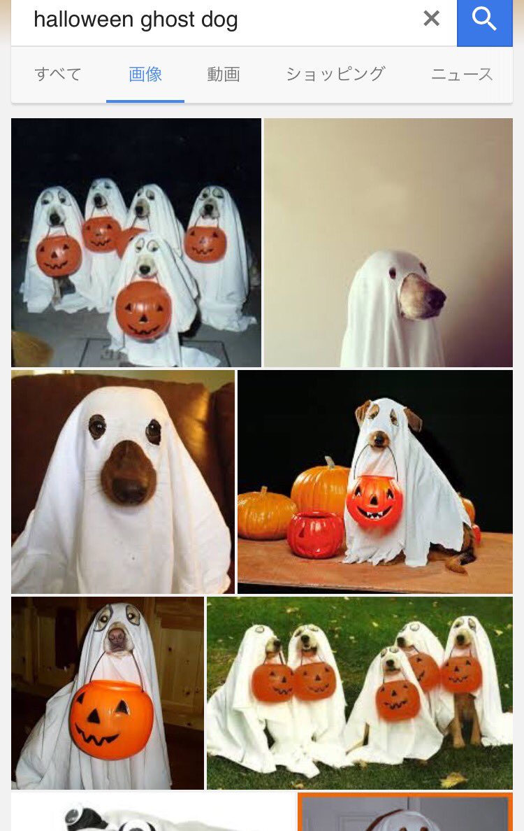 ハロウィンの Ghost Dog を飼い犬に試したら Twitter