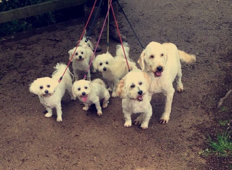 My colour coordinated babies ❤️