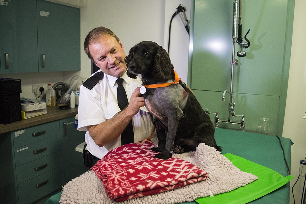 CDDFRS's tweet photo. Watch a video update on Scrappy's health condition @ScrappyFireDog #GetWellSoon https://t.co/2P9PV4Ar2v https://t.co/UZSwHwHL7M