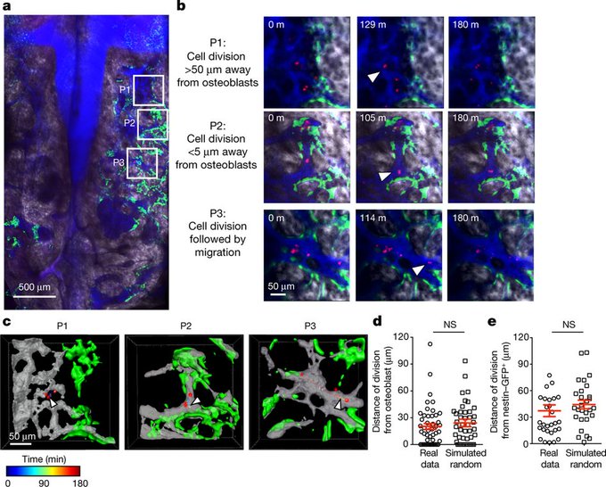 Переглянути зображення у Твіттері