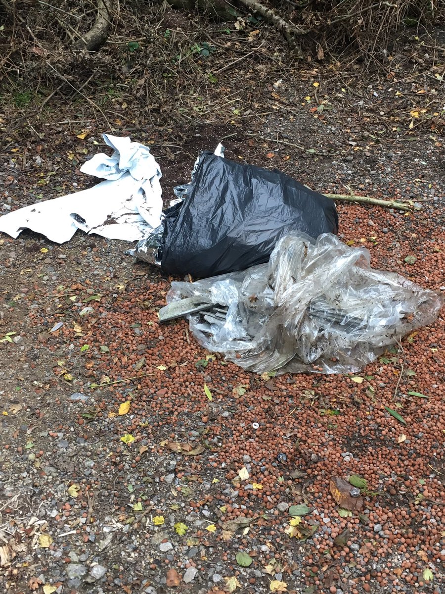 M Sherlock tweet media