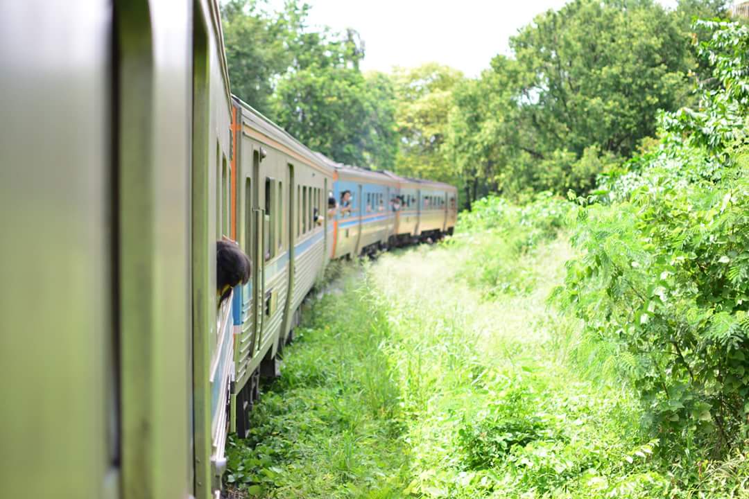 bbaifernnn's tweet photo. เที่ยวกาญจนบุรีด้วยรถไฟนำเที่ยวสายน้ำตก คนละ120ก็ฟินได้ สวยมากอยากไปอีก♡ #ReviewThailand #ไปเที่ยวกาญญญ https://t.co/NOyPbklFPc