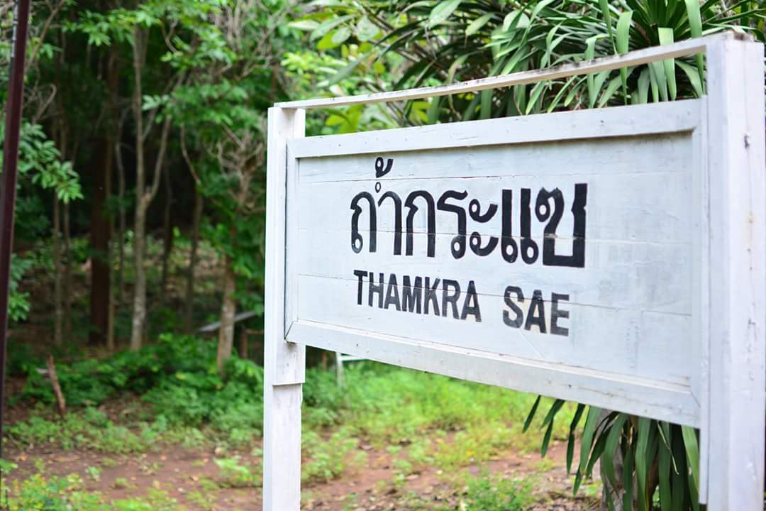 bbaifernnn's tweet photo. เที่ยวกาญจนบุรีด้วยรถไฟนำเที่ยวสายน้ำตก คนละ120ก็ฟินได้ สวยมากอยากไปอีก♡ #ReviewThailand #ไปเที่ยวกาญญญ https://t.co/NOyPbklFPc