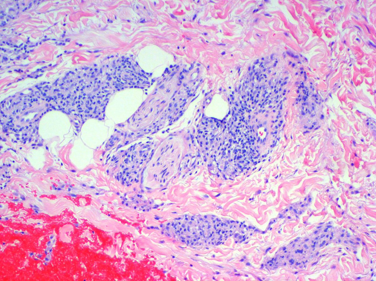 Jennifer Kaley tweet media