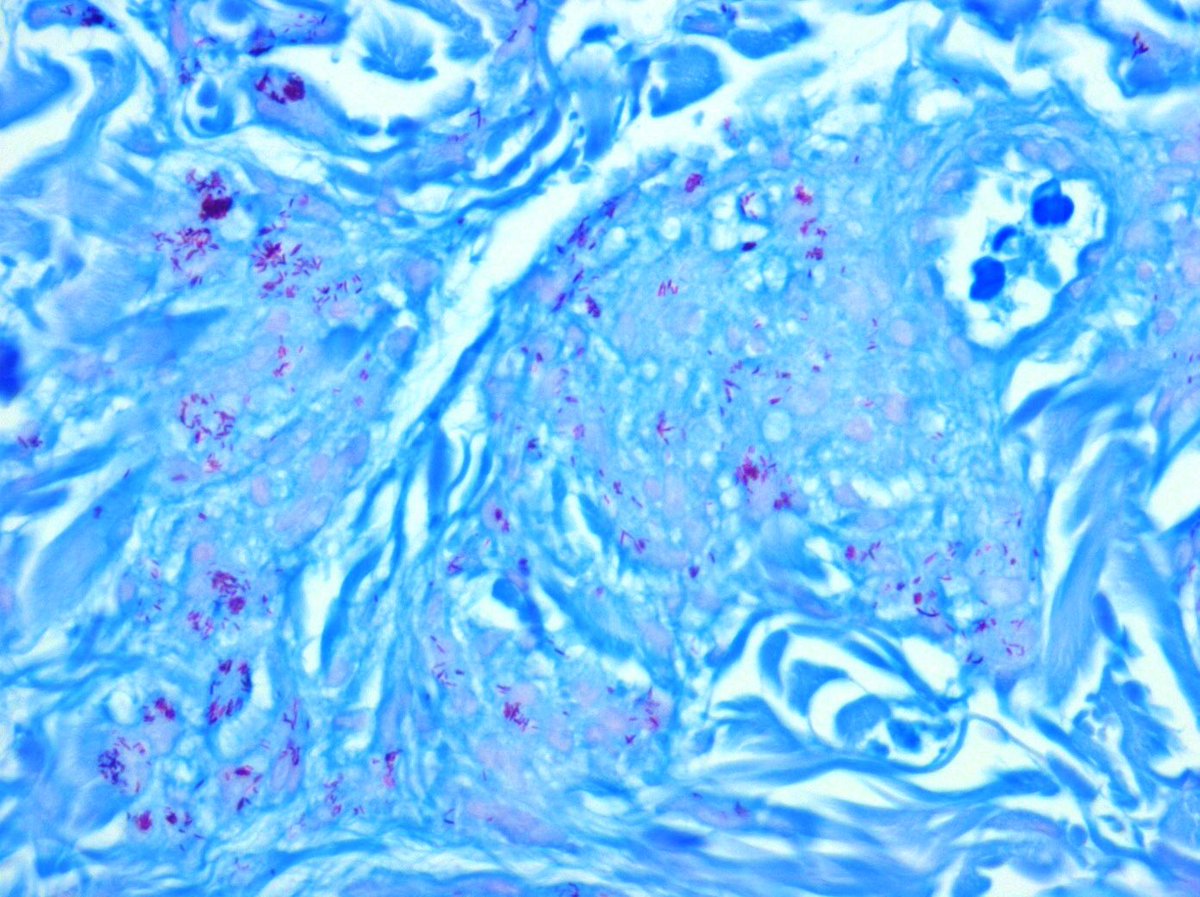 Jennifer Kaley tweet media