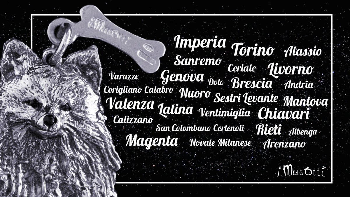 i_Musotti's tweet photo. i Musotti si stanno muovendo.. #ciondoli #cani #argento #dogs https://t.co/qLtt9vZmtY