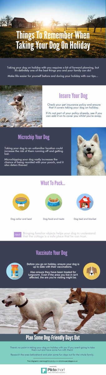 BrickCottages's tweet photo. Thinking of bringing your dog to https://t.co/jO1WVCOizn? Check out this infographic for tips! #dogsonholiday #dogfriendlyholiday #blackpool https://t.co/ABGeRvLNCI