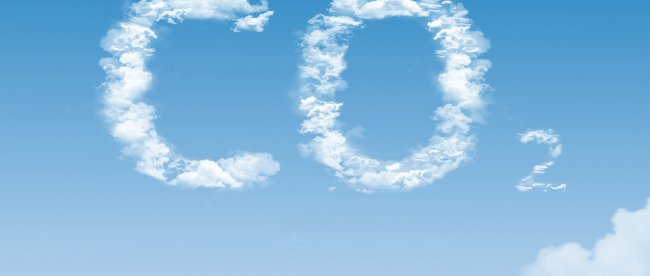 World Class Logistics tweet media