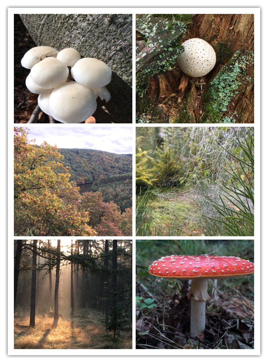 Love the Autumn