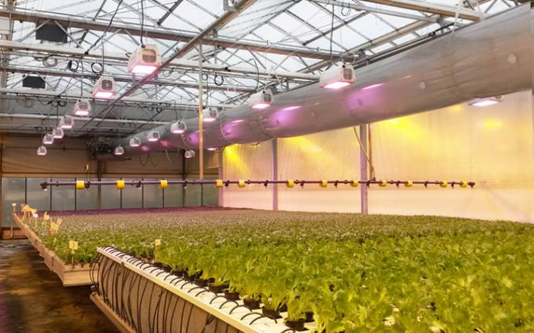 HempSolutionsUS's tweet photo. Get growing with Hemp Growing Medium - Going on right now at Grass Roots Grow Mats: https://t.co/a7oEX8829o @HempGrowMats https://t.co/Lyod466NxZ