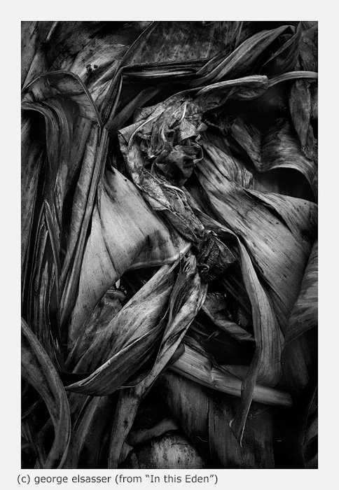 georgeelsasser's tweet image. Welcome new followers @LoriFrantz @kirstywhite @HotshoeBlog @Art_Afremov #art #photography