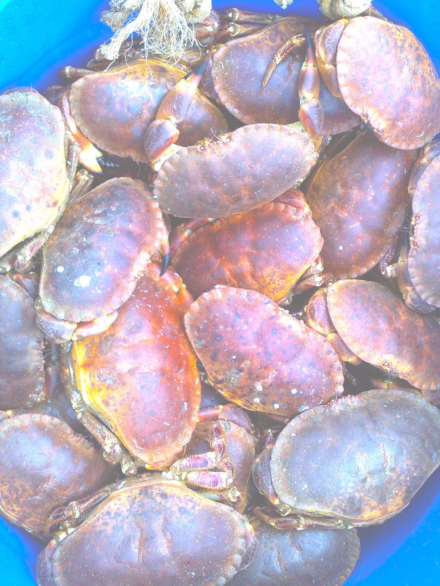 Cloudberry Digital tweet media