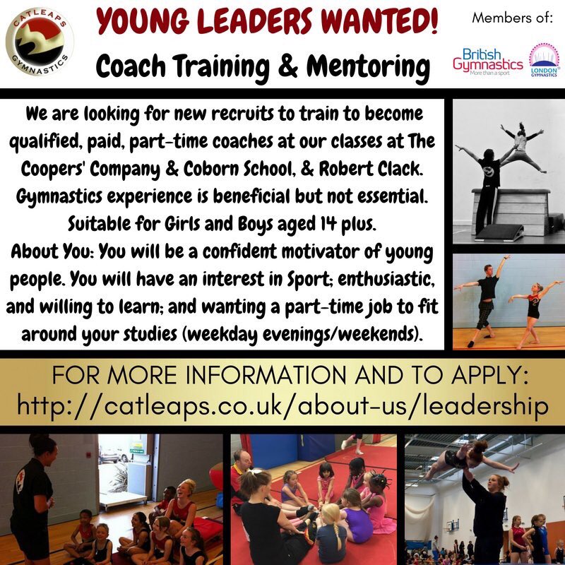 CatleapsGC tweet media