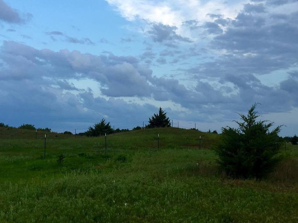 KansasTourism's tweet photo. #KansasCity #sandhillsofkansas #dusk #bluespruce #clouds https://t.co/4x1bC8LXf9
