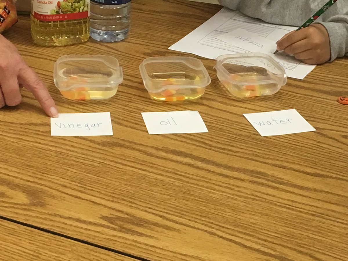 PHM_excELLkids's tweet photo. Performing an experiment this week in ELLIE Club. Observing, recording, and hypothesizing. #ell #enlchat #eslchat https://t.co/vxJivHkbua