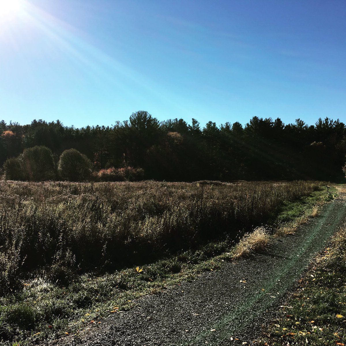 legionoftrail's tweet photo. Where will the trail lead you today? #wander list  #autumn #hiking🌲 @legionofthrive #thrive #fallnow #October #nature #fall #leaves #colors https://t.co/gtiTd2wZUc