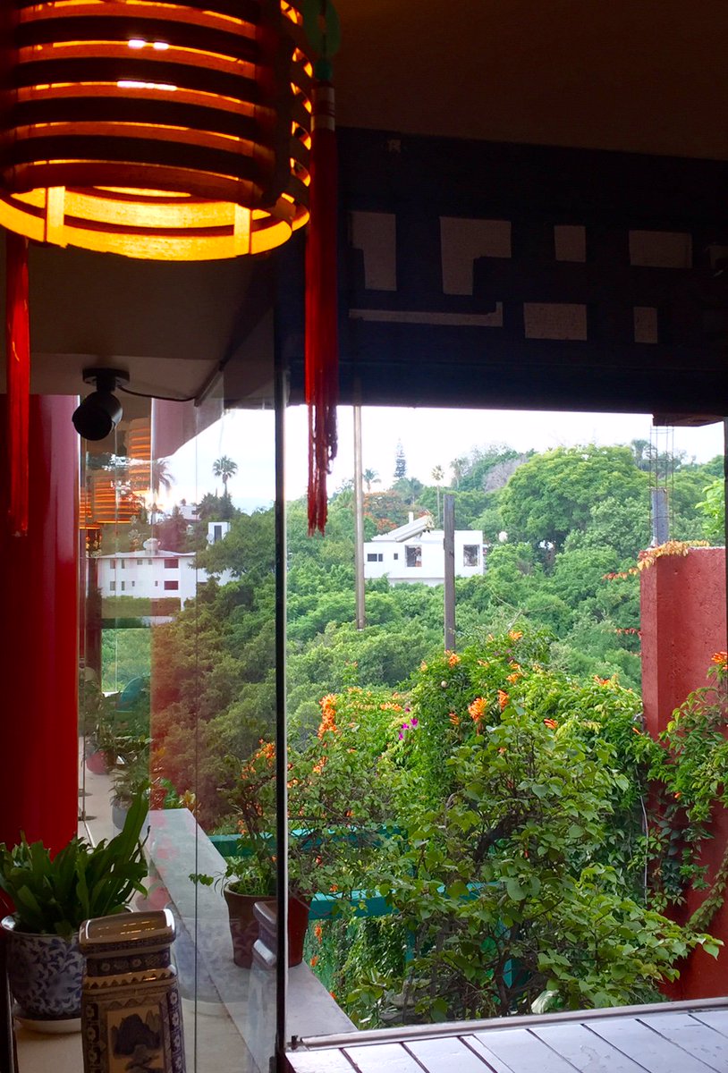 LogYin_Rest's tweet photo. Te deseamos una excelente semana!!
#FelizLunes 
#LogYin
#Cuernavaca https://t.co/Zf51YeuliN