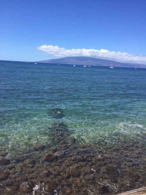 code_boxinc's tweet image. Back in Texas but missing Maui this Monday morning! Thank you @NARPM for a fabulous conference! #NARPM2016 #CodeBox