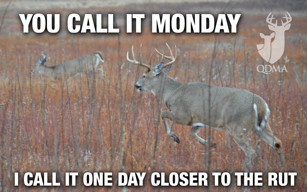 Let's keep things in perspective this morning!