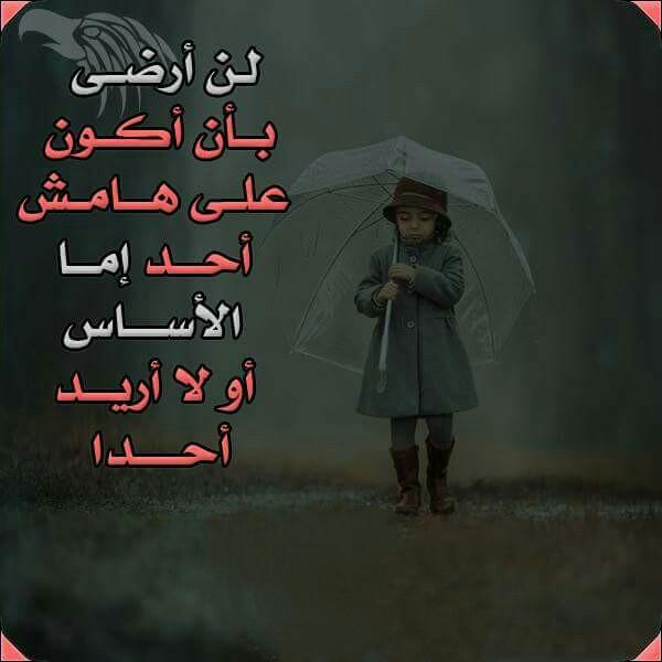 ali maher (@abuniizaar) on Twitter photo 