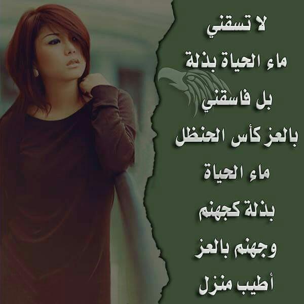 ali maher (@abuniizaar) on Twitter photo 