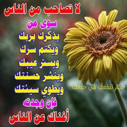 ali maher (@abuniizaar) on Twitter photo 