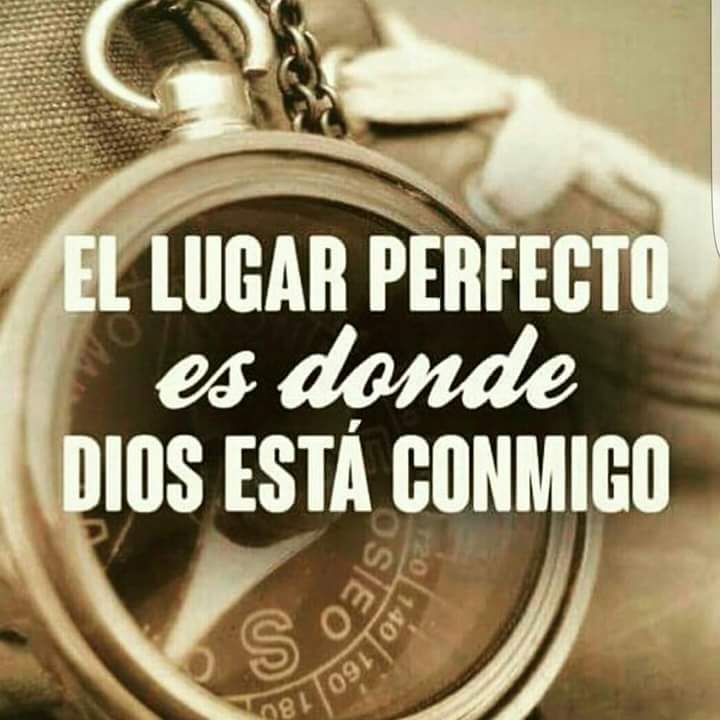 Xhristomorph777's tweet photo. Hacer el bien a todos, dar lo mejor, analizar nuestras actitudes y ser mejor hoy q ayer un 1% esa es mi disciplina. Feliz de vivir y Amar https://t.co/0X3MiCAPUp