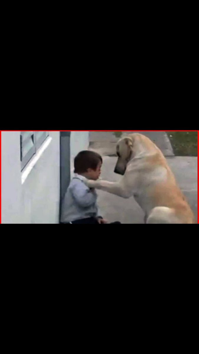 Çocuğu teselli edene hayvan 
Tecavüz edene 
Insan deniyor Oylemi ?