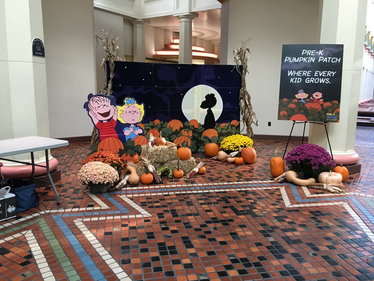 Jan Murphy tweet media