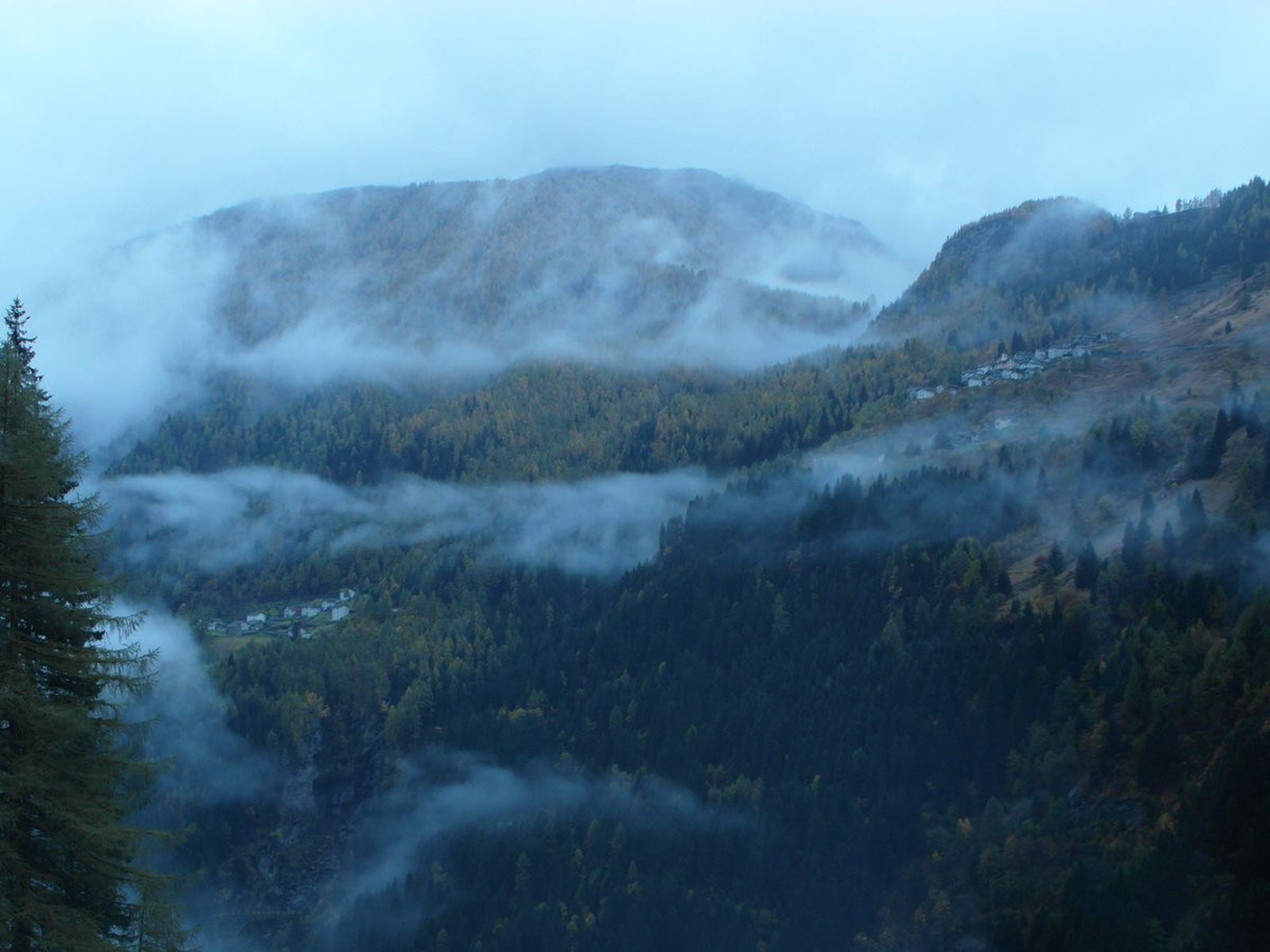 madesimotweet's tweet photo. A volte, un po' di nebbia, rende tutto più bello!
#madesimo #lamiamadesimo https://t.co/HCkq35hrXS