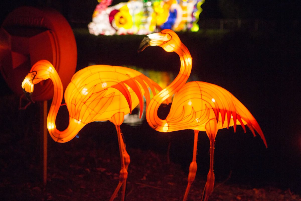 Welcome2Yorks's tweet photo. Win one of 5 family tickets for festive magic at the first Yorkshire @MagicalLantern festival launch at Roundhay Park! RT to enter. https://t.co/JKsG8dtwSh