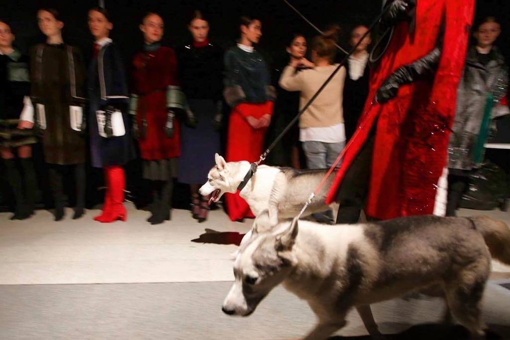 quadrobyte's tweet image. Волки выходят #fashionweek #fashion #moscowfashion ift.tt/2eK0tC8