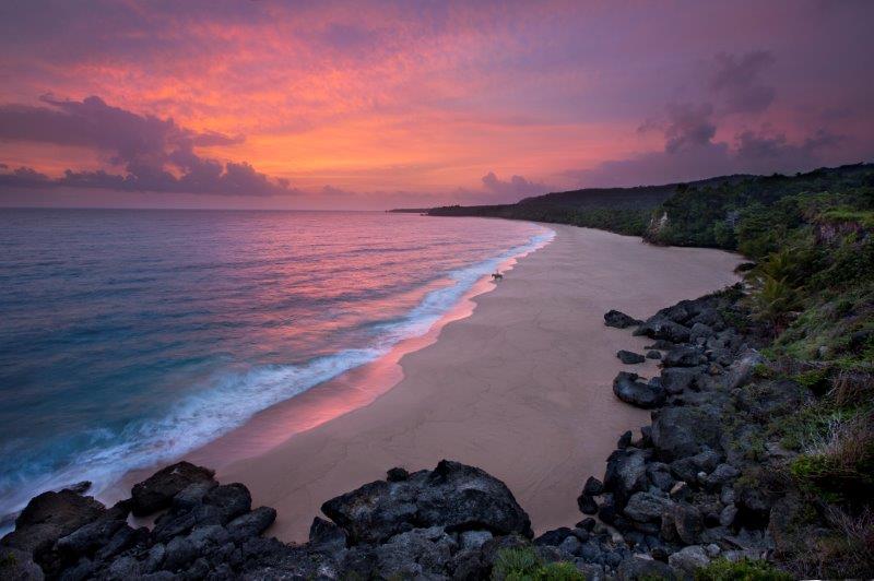 Playa Grande tweet media