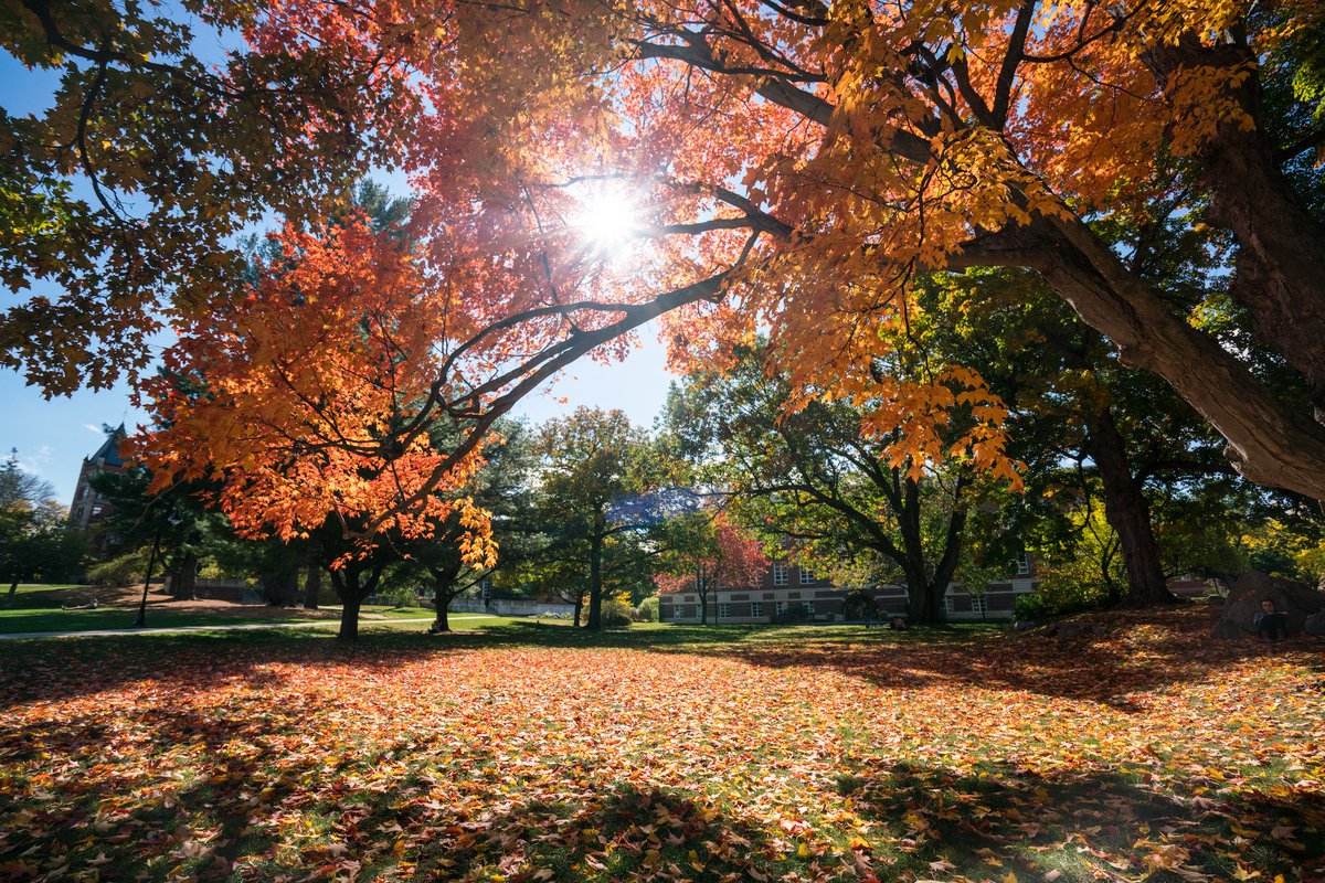 University of New Hampshire tweet media