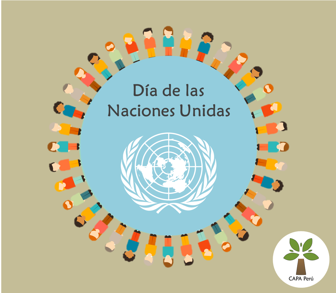 CAPA_Peru's tweet photo. Hoy celebramos el día de las #NacionesUnidas. Este año el foco es #DesarrolloSostenible. #SumateALaSelva y a su desarrollo con #CapaPeru https://t.co/WhCEZidjum
