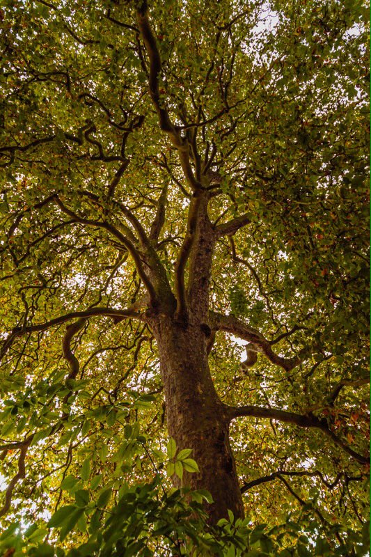 rawpicjohn's tweet photo. London plane https://t.co/rJ6PMwAhyu