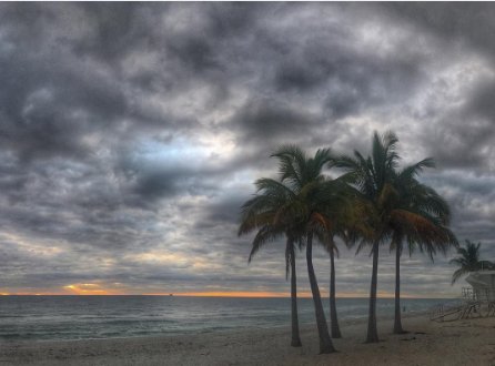 PBAUniversity's tweet photo. Good Monday morning! We #WakeUpPBA to first day after Fall Break -- looking almost fall-like. (Thanks @FtLauderdaleSun) https://t.co/Oh6IBoWMBa