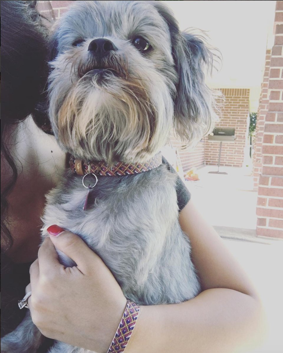 FCollars's tweet photo. We got our matching #friendshipcollar 

https://t.co/ZYx3y4fxmL https://t.co/7g3dPTSIcG