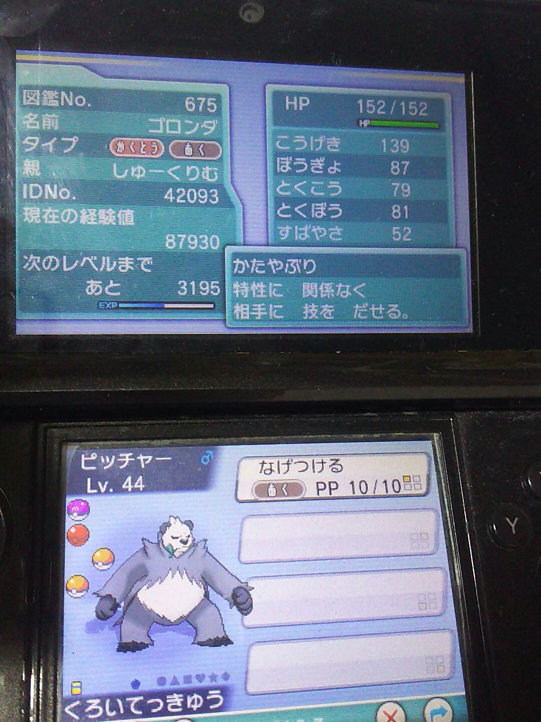 毎日ゴロンダ Mainitigoronda Twitter