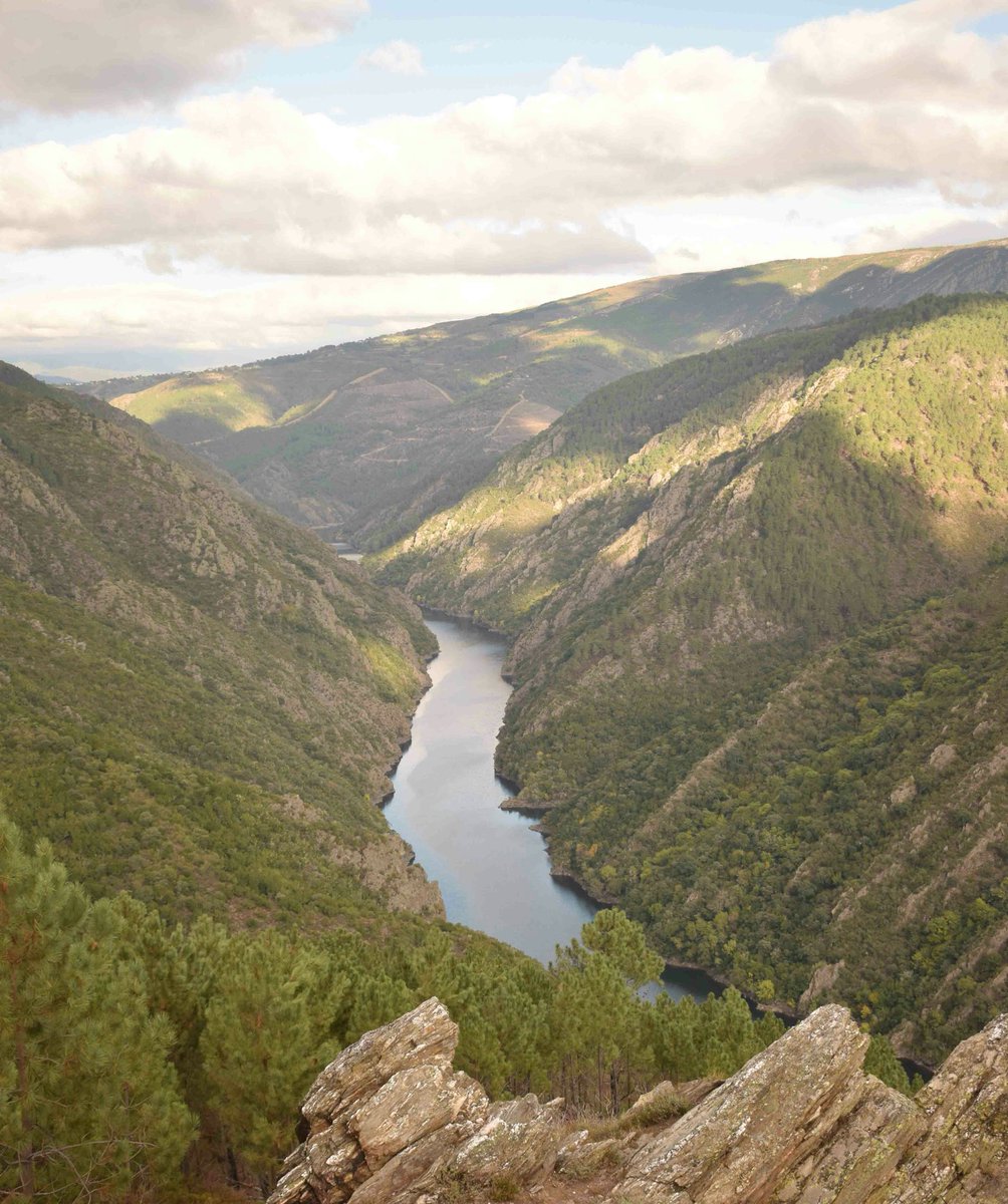 malcavada's tweet photo. El Sil, siempre grandioso ❤❤❤
#ribeirasacra https://t.co/bQHYr5kLYz