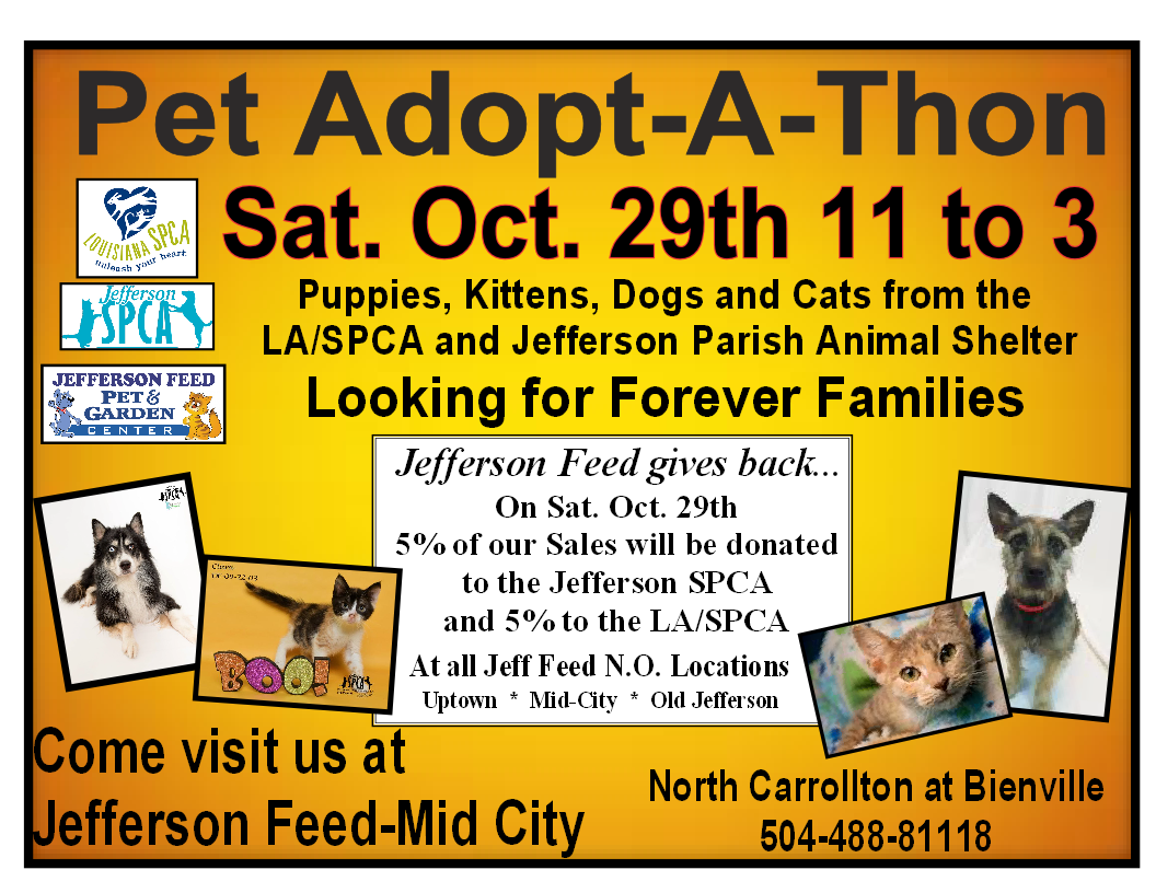 JeffersonSPCA's tweet photo. Join us this weekend at Jeff Feed Mic City! https://t.co/FJdI32Hj0B