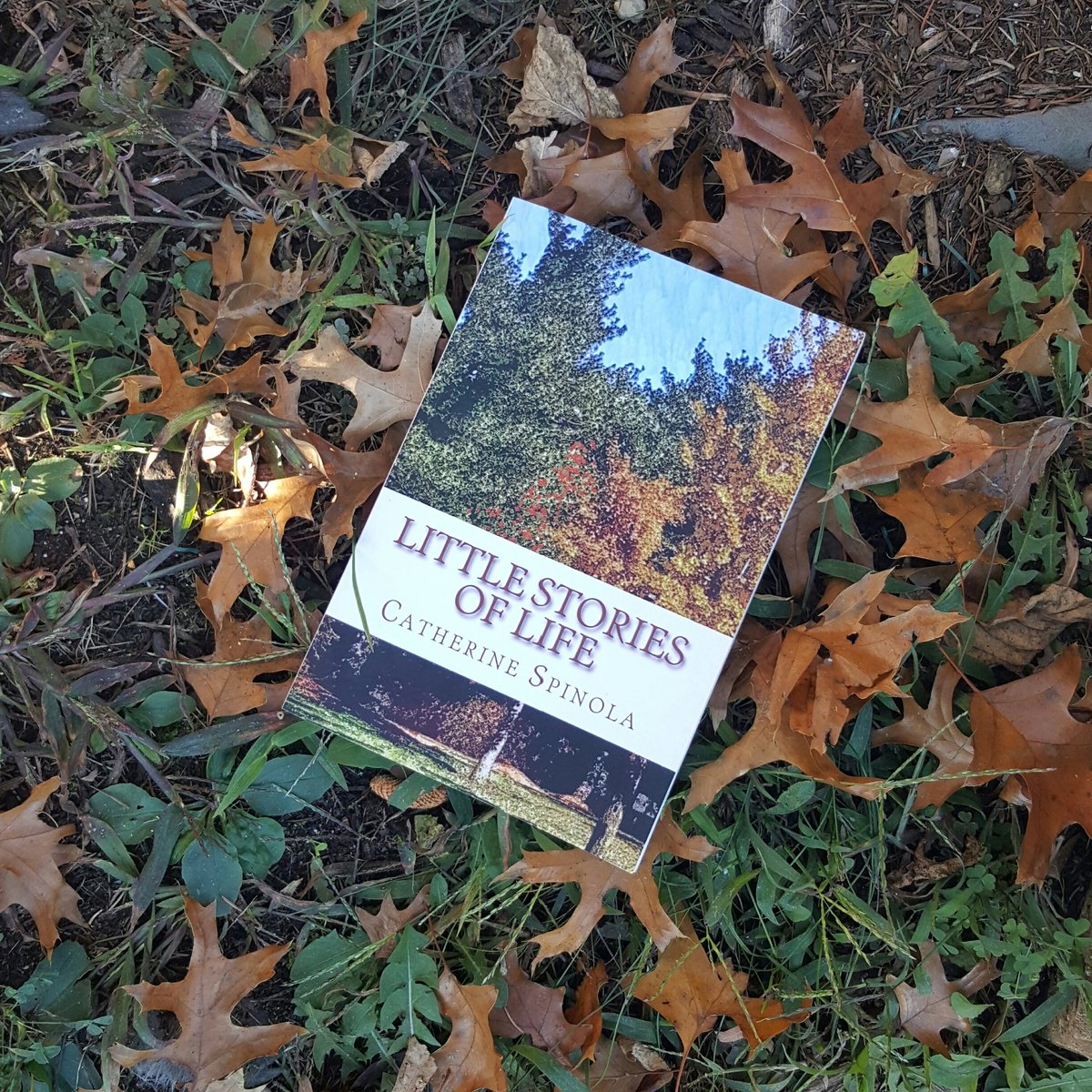 CatSpinola's tweet photo. #Autumn Edition #paperback #ebook #KindleUnlimited #LSOL https://t.co/MikkzyYFfo #RT #IARTG https://t.co/Bi07Jm5DfD